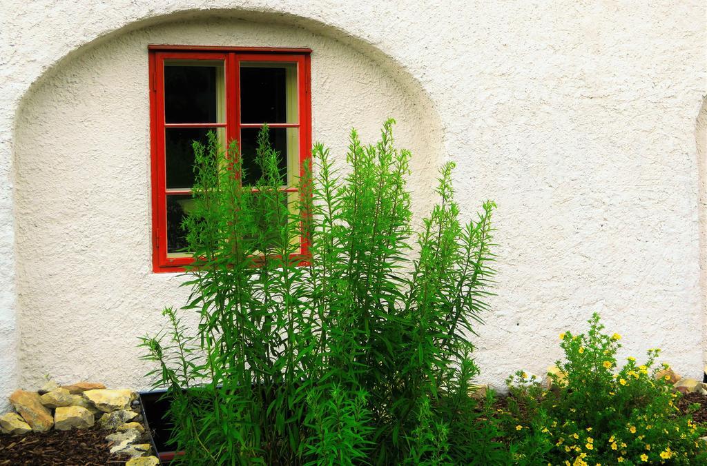 Garden Residence Prague Castle Extérieur photo
